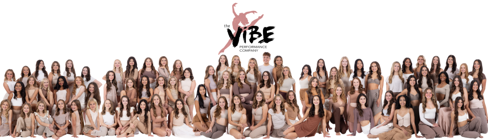 vibeperformancecompany