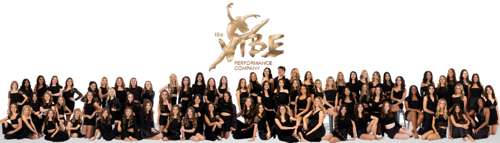 vibeperformancecompany